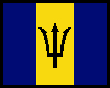RL| Barbados POLO