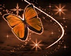 butterfly pic 4