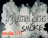 THOUSAND HORSES SMOKE