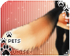 [Pets] Zorro | tail v3