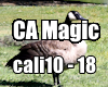 Goose California Magic 2