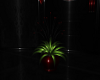[AW] Heartbeat Plant 2