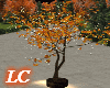 LC-Fall Tree In Planter