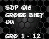 SDP - Wie Groß bist du