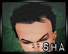 [SHA] Brad's Hair