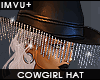 ! western . cowgirl hat