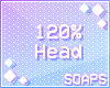 +Head Scaler 120%