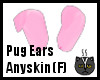 Anyskin Pug Ears (F)