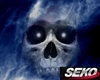 !S! Picture Skull 2