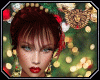 [ang]Poinsettia Russet
