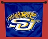 Southern Jaguars Banner