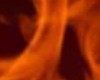 Draka wings