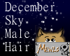 December Sky Male Hair