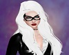MCU : BlackCat 4