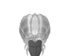 Carnival Rio Hair