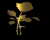 GOLDEN ROSE