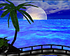 Island Moonlight 