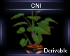 Derivable Plant V4