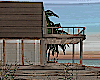 Sunset Beach House
