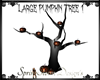 LARGE PUMPKIN TREE 1