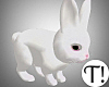 T! White Rabbit Anim F