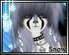 [Snow] Gray Fox Samantha