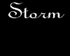 ~DT~ Storm Necklace