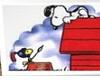 snoopy pic