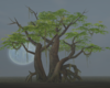 Trees