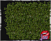 [LD]Bushes♣Add On