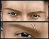 s. Eyebrows Jhow