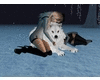 Wolf Pet +Poses