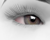 H' Eyes Asian