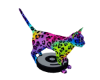 Rainbow Kitty