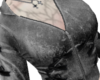 bows