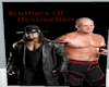 !S! Bros of Destruction