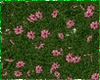 Kawaii Wall Of Flowers