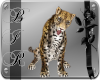 [BIR]Leopard *
