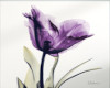 Purple Tulip Art