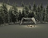 Winter Camp