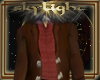 [*]Skylight Indy Coat