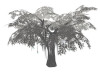 Inner Tardis Tree -Arwen