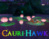 Lily Pads Rainbow