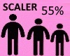 Scaler 55%
