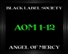 BLS-AngelOfMercy