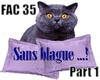 🧾 Sa Facture 🧾