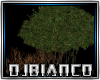 Nature tree DJ LIGHT