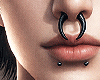 金 Septum Set II