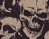 Sit box skull