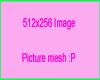 [ana]512x256 pic mesh